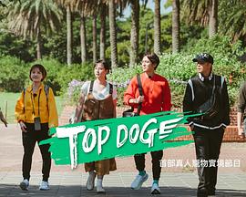 扒哥吃瓜《TOP DOG》免费在线观看